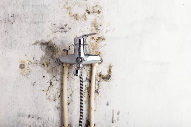 Best Residential Mold Remediation in Colbert, OK