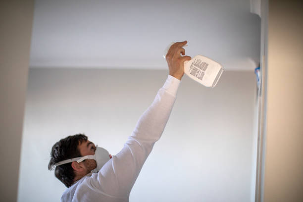Best Mold Testing and Inspection Services in Colbert, OK