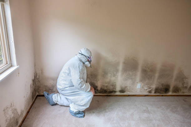 Best Bathroom Mold Remediation in Colbert, OK